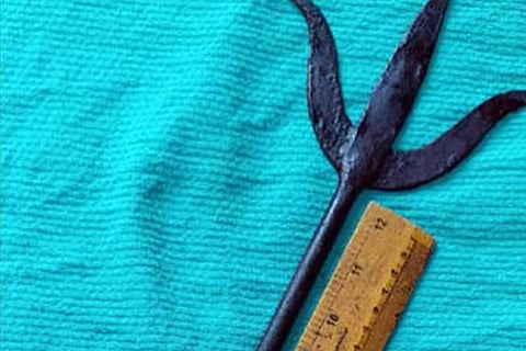 Trishul F