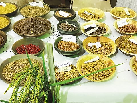 kisan swaraj sammelan, mysore mallige-1