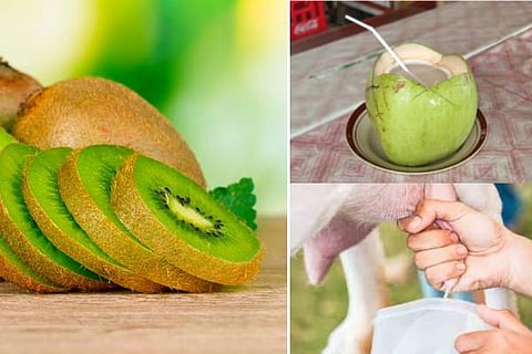 kiwi
