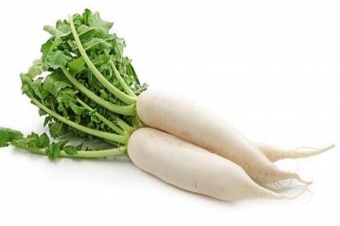 radish