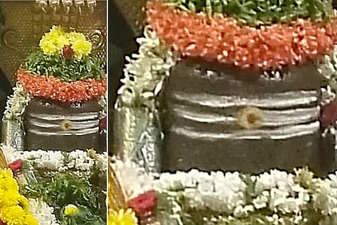 shivalinga