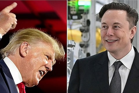 trump musk