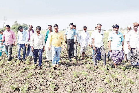 011222 Banapura Agriculture Officer Visit field