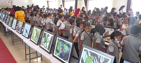 ಪಕ್ಷಿಗಳ ಅಪರೂಪದ ಛಾಯಾ ಚಿತ್ರ ಪ್ರದರ್ಶನ