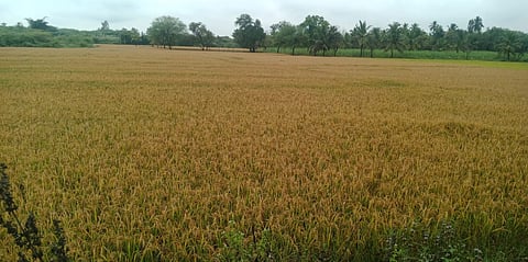 12 yelandur 01