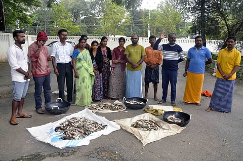 ಡಿಸಿ ಕಚೇರಿ ಎದುರು ಮೀನು ಇಟ್ಟು ಶಾಂತಿಯುತ ಪ್ರತಿಭಟನೆ