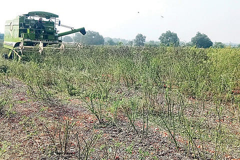 201222 Kanakagiri Toorcrop Cutting machine