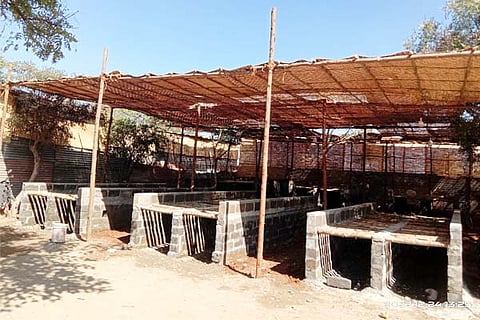 25122022 koppal gavisri jatre