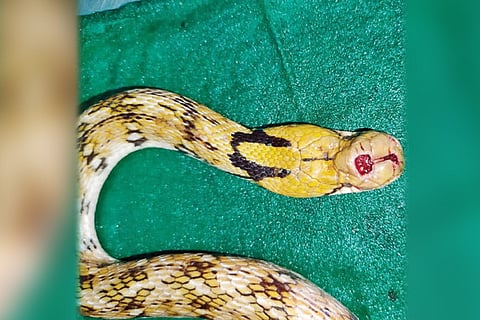 845
