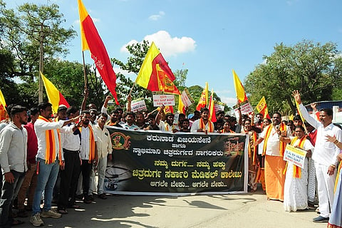 CTD 27 Protest - Vijaya Sene-06