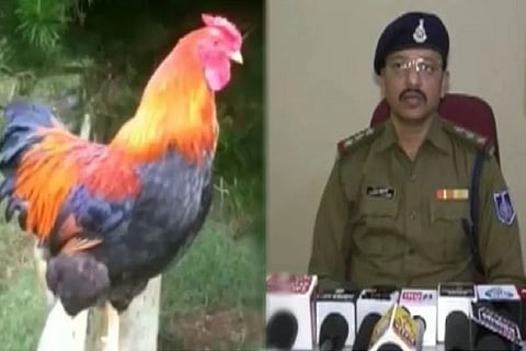 Hen