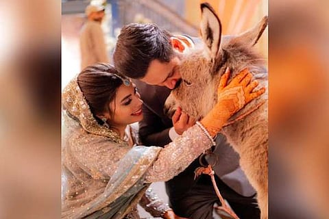 Pakistani YouTuber gifts baby donkey to his bride in wedding