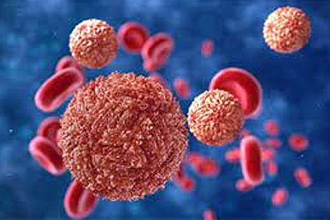 Zika Virus
