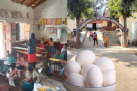 chinaga school egg