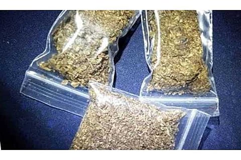 ganja