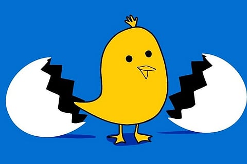 koo
