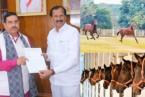 kunigal stud farm