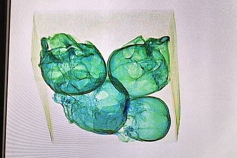 skull1
