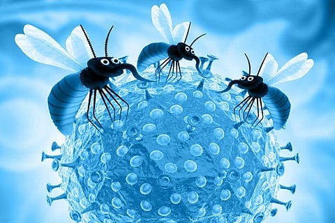 zika
