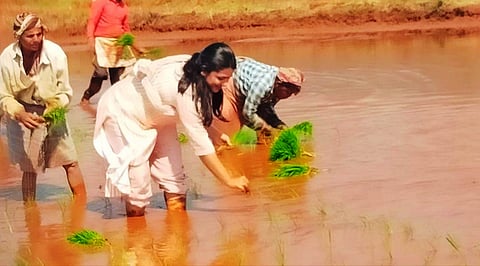 14MDG5 PHOTO NEWS