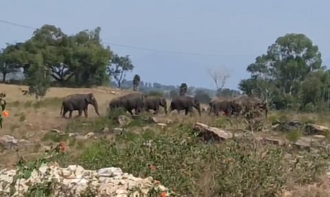 14raju6a