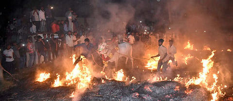 15_01_Mdy_01(Sankranthi) (1)