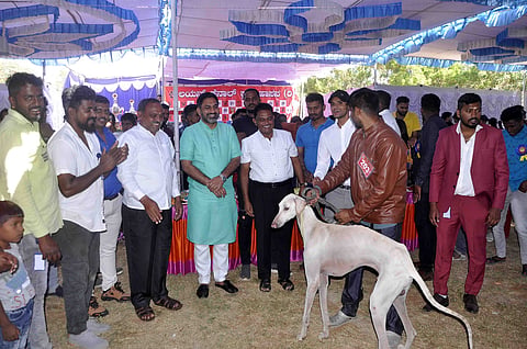 ಅನೇಕರಿಗೆ ಶ್ವಾನ ಎಂದರೇ ಹೆಚ್ಚು ಪ್ರೀತಿ: ಪ್ರೀತಂ ಗೌಡ