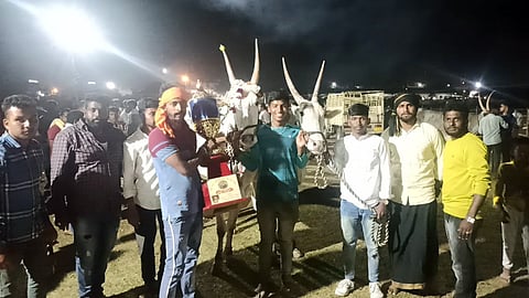 ಹೊಸ ವರ್ಷದ ಅಂಗವಾಗಿ ಜೋಡೆತ್ತಿನ ಗಾಡಿ ಓಟದ ಸ್ಪರ್ಧೆ.