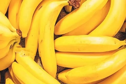 Banana 01