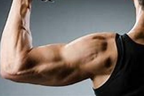 Body Builder