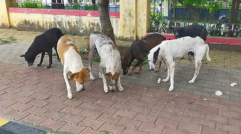 IMG20220726090729