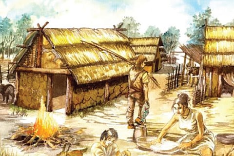 Manollasa