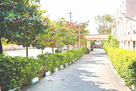 Molokalmuru, Murarji School, Salamaru Thimmakka,