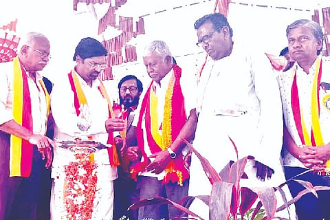 Nayakanahatti, Kannada sahithya sammelana