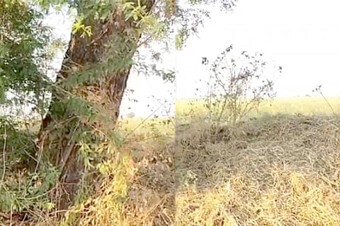 Untitled-1