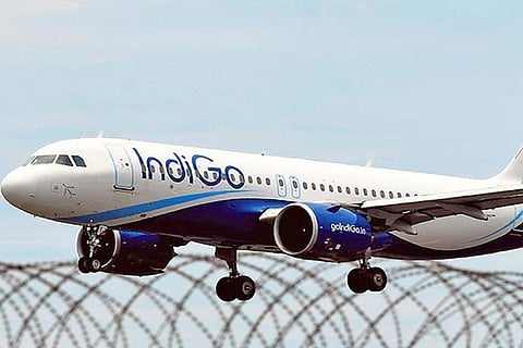 indigo
