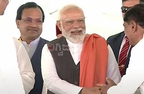 modi leaves