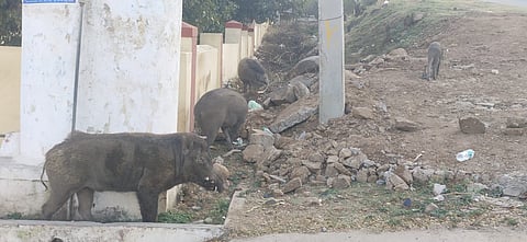 05raju4