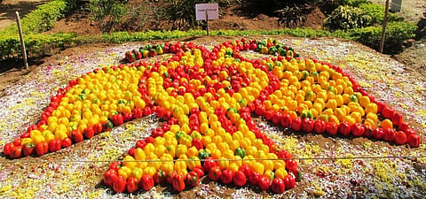 20-02-rama-horti1 (Sangraha chitra)