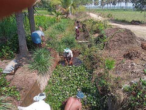 mandya
