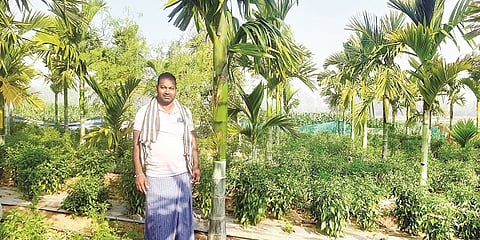 Agriculture