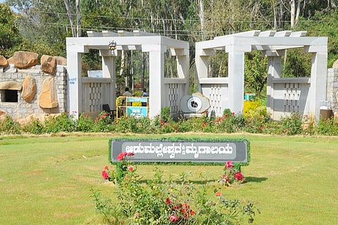 CTD 14 ZOO-01