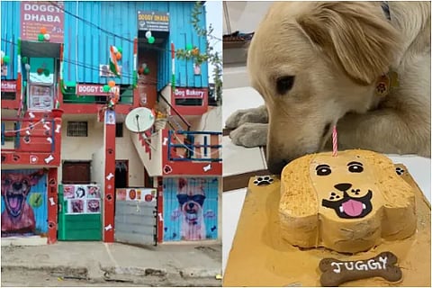 Doggy Dhabha