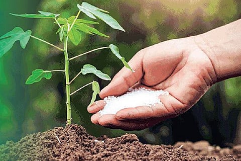 Fertilizer
