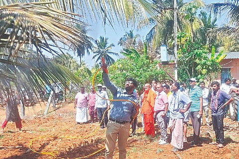 Hosdurga, coconut crop, white rice, rogos,