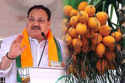 J P Nadda