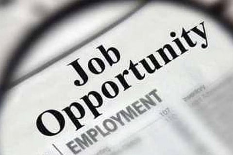 Job Opportunity