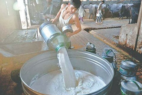 Pak