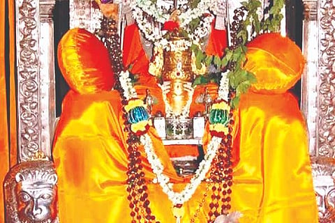 dvg kotturu