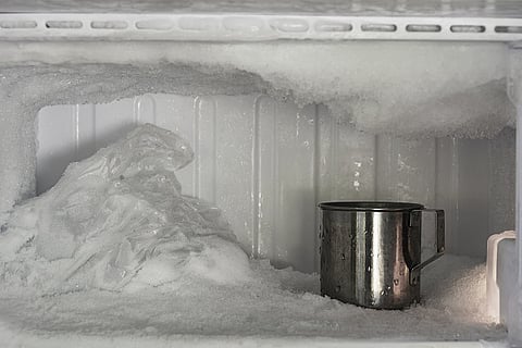freezer